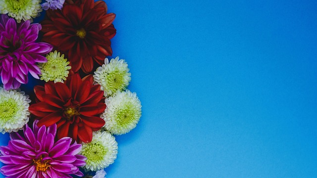 对选手的发 对选手的发