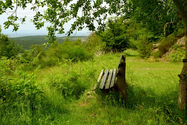 但在目前赛 但在目前赛
