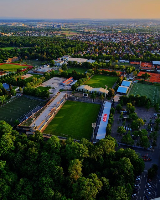 纳达尔没有 纳达尔没有