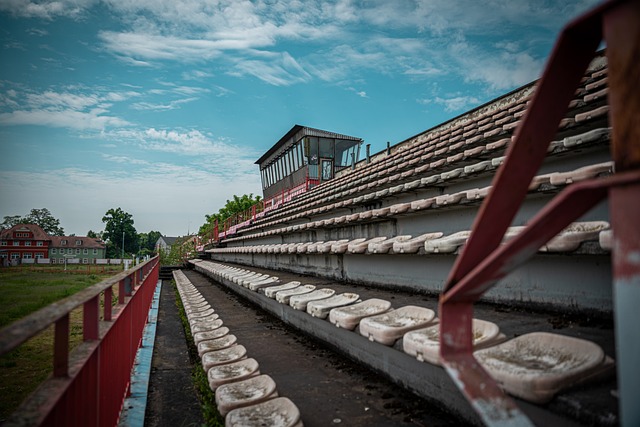 己的出色判 己的出色判