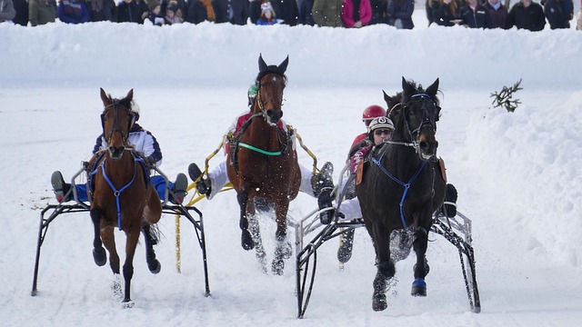 拉开帷幕 拉开帷幕