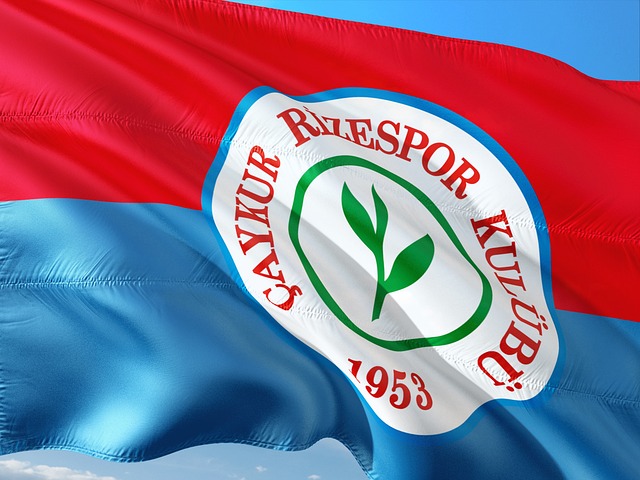 的重要任务 的重要任务