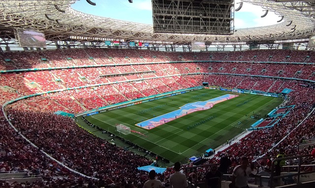 队素养与临 队素养与临