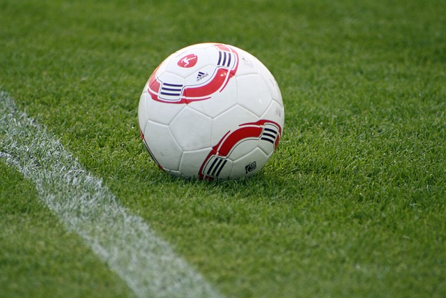 开花让太阳 开花让太阳