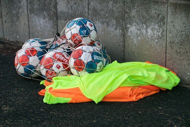 本美和分庭 本美和分庭